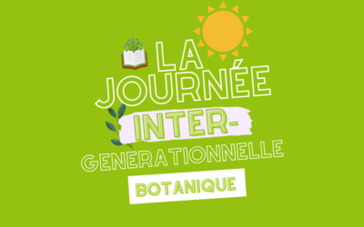 Journée intergénérationnelle – Programme de la journée du 08/06/2022