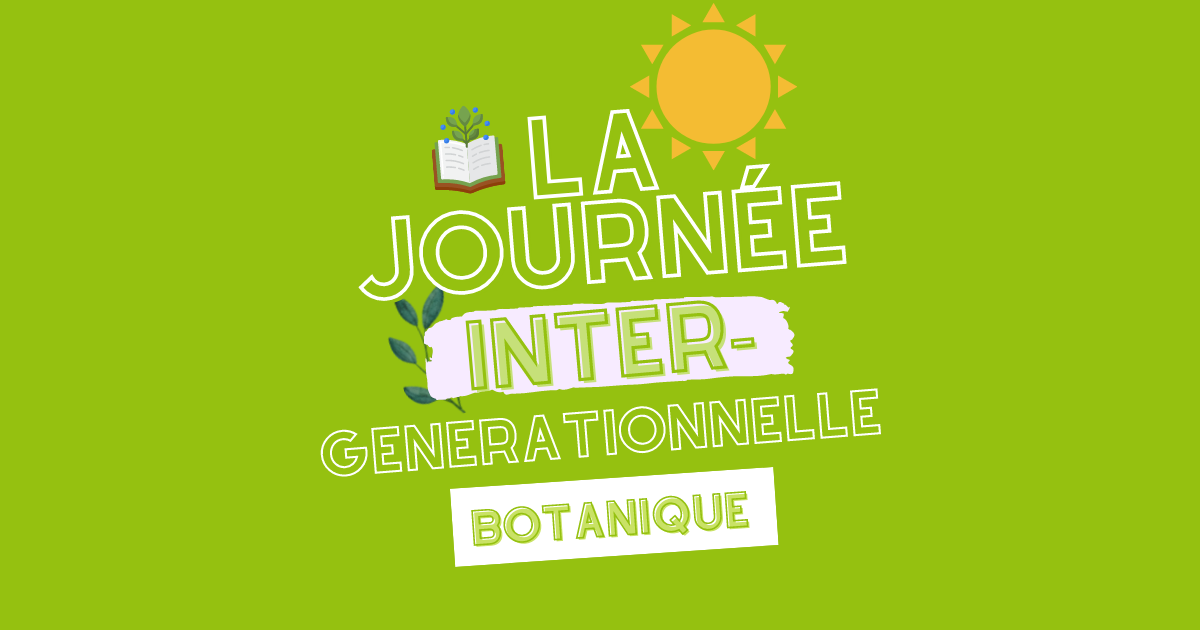Sans titre (1)